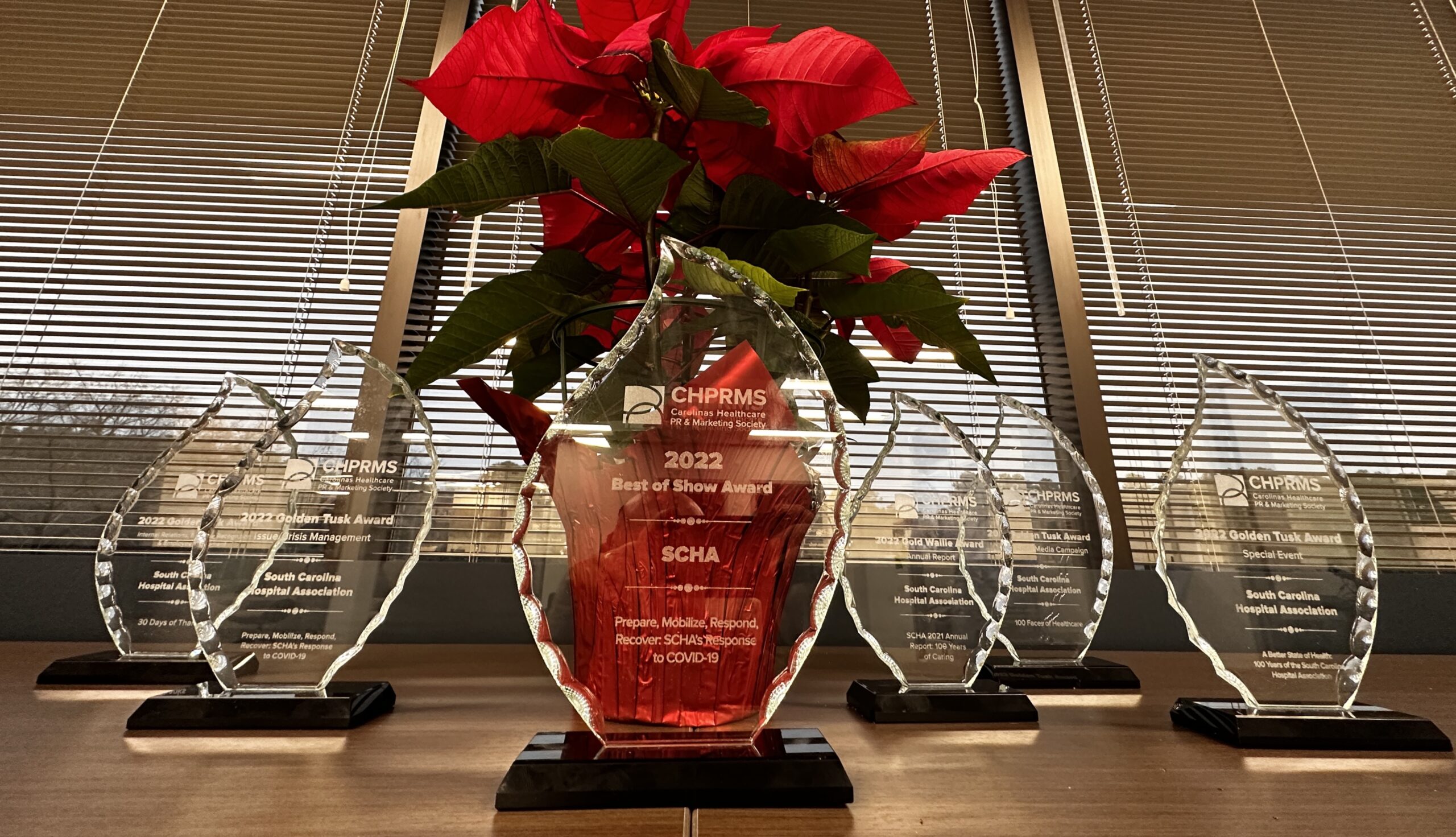 6 glass trophies in front of a red Christmas poinsettia plant.